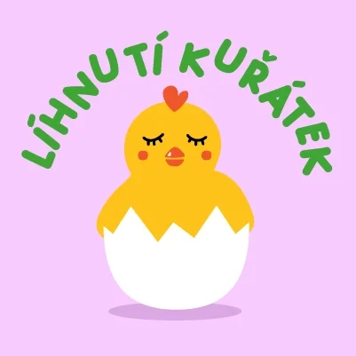 Projekt - Líhnutí kuřátek